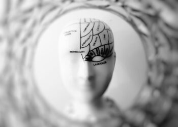 The Future of Artificial Intelligence: Opportunities and Challenges 7 40 Surprising Facts About the Solar System