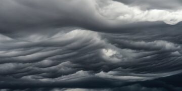 The Urgency of Climate Action: What We Can Do Today