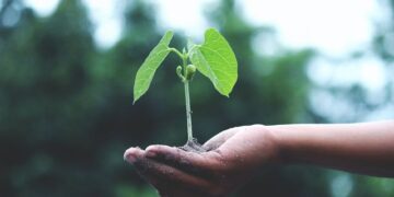 Climate Change and its Effect on Global Agriculture