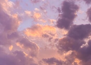 The Paradox of Climate Change: Why We Must Act Now for Our Own Sake 8 The Paradox of Climate Change: Why We Must Act Now for Our Own Sake