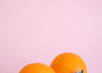 The Role of Private Companies in Vaccine Development and Distribution