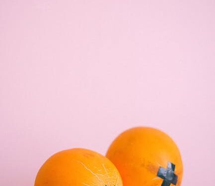 The Role of Private Companies in Vaccine Development and Distribution 1 The Role of Private Companies in Vaccine Development and Distribution