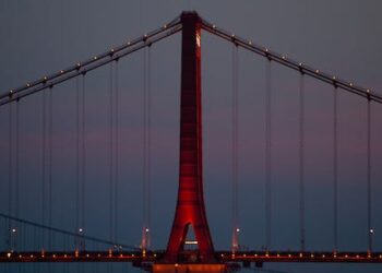 The Connection Between Physical and Mental Health: A Holistic Approach to Wellness