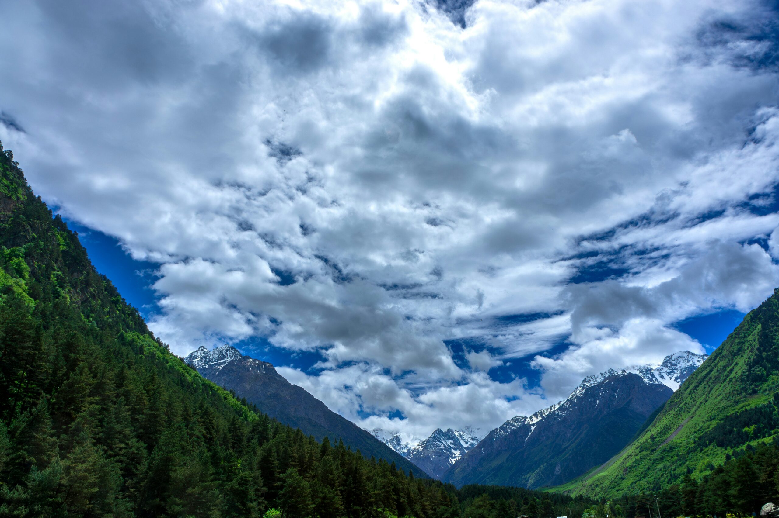 a scenic view of a valley with mountains in the background