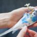 Training Your Budgie: How to Tame a Parakeet - A Guide to Making Friends with Your New Pet Budgie! 8 Training Your Budgie: How to Tame a Parakeet – A Guide to Making Friends with Your New Pet Budgie!