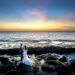 Capturing Love Around the World: Top Destinations for Pre-Wedding Photoshoots 5