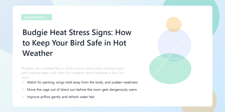 A healthy budgie beside fresh water in a bright, airy room.