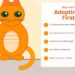 Beginner's Guide to Adopting Your First Cat