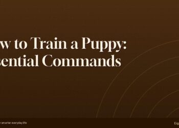 How to Train a Puppy: Essential Commands Every New Dog Owner Needs