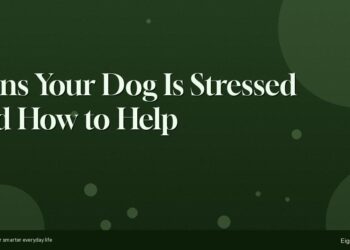 Signs Your Dog Is Stressed and How to Help 3 Signs Your Dog Is Stressed and How to Help