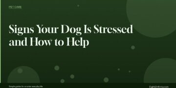 Signs Your Dog Is Stressed and How to Help