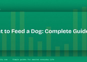 What to Feed a Dog: A Simple Guide to Healthy Meals and Safe Foods 4 What to Feed a Dog: A Simple Guide to Healthy Meals and Safe Foods