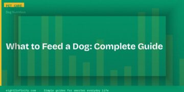 What to Feed a Dog: A Simple Guide to Healthy Meals and Safe Foods