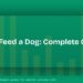 What to Feed a Dog: A Simple Guide to Healthy Meals and Safe Foods