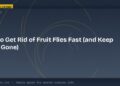 How to Get Rid of Fruit Flies Fast (and Keep Them Gone)