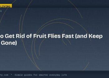How to Get Rid of Fruit Flies Fast (and Keep Them Gone)