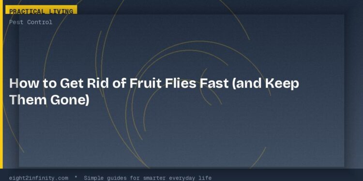 How to Get Rid of Fruit Flies Fast (and Keep Them Gone) 1 How to Get Rid of Fruit Flies Fast (and Keep Them Gone)