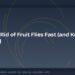 How to Get Rid of Fruit Flies Fast (and Keep Them Gone)
