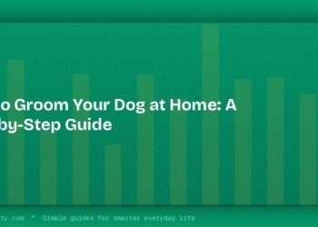 How to Groom Your Dog at Home: A Step-by-Step Guide