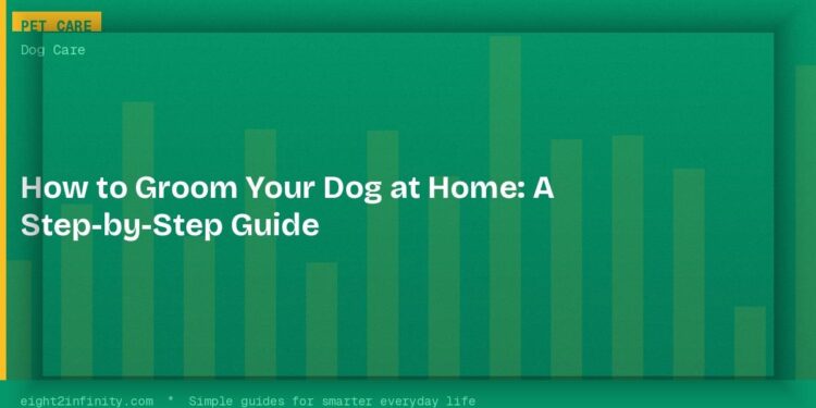 How to Groom Your Dog at Home: A Step-by-Step Guide