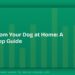 How to Groom Your Dog at Home: A Step-by-Step Guide 8 How to Groom Your Dog at Home: A Step-by-Step Guide