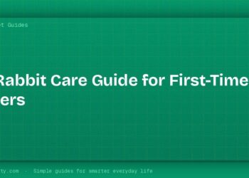 Pet Rabbit Care Guide for First-Time Owners