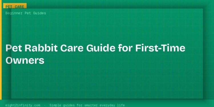 Pet Rabbit Care Guide for First-Time Owners