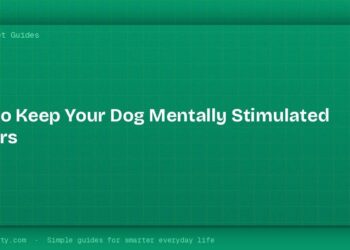 How to Keep Your Dog Mentally Stimulated Indoors