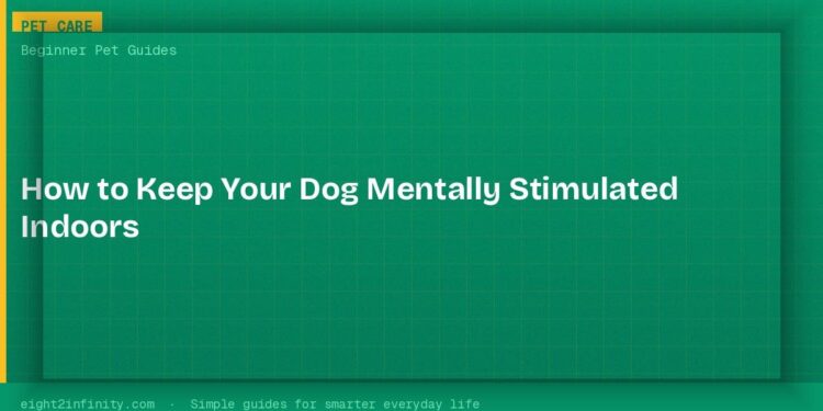 How to Keep Your Dog Mentally Stimulated Indoors
