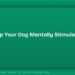 How to Keep Your Dog Mentally Stimulated Indoors