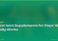 Natural Joint Supplements for Dogs: What Actually Works