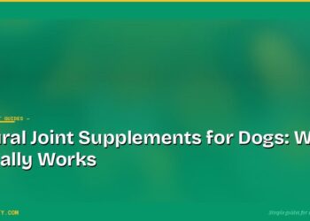 Natural Joint Supplements for Dogs: What Actually Works