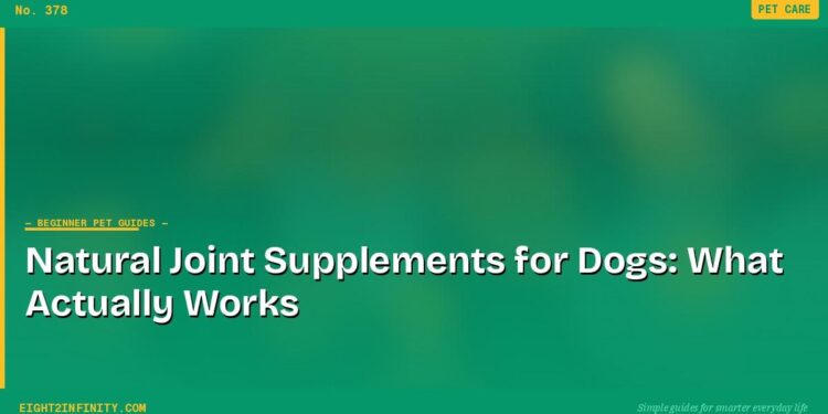 Natural Joint Supplements for Dogs: What Actually Works 1 Natural Joint Supplements for Dogs: What Actually Works