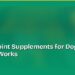Natural Joint Supplements for Dogs: What Actually Works