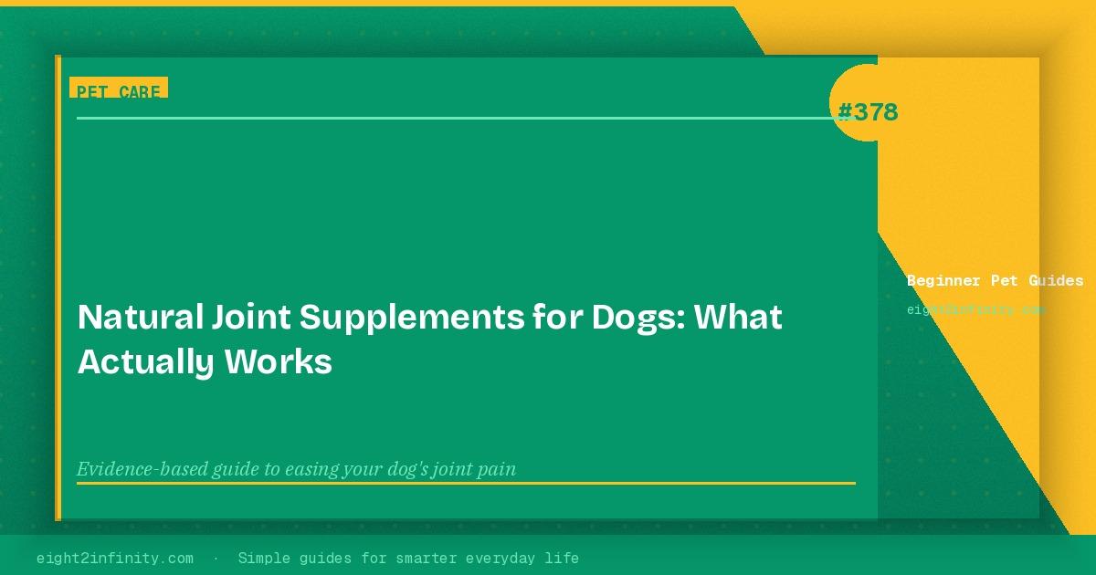 Natural Joint Supplements for Dogs: What Actually Works 3