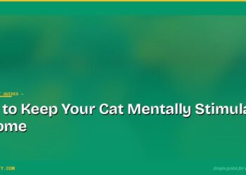 How to Keep Your Cat Mentally Stimulated at Home