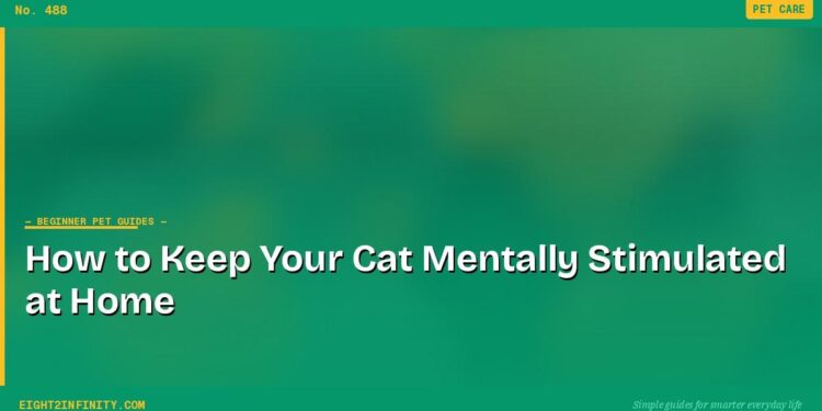 How to Keep Your Cat Mentally Stimulated at Home 1 How to Keep Your Cat Mentally Stimulated at Home