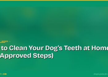 How to Clean Your Dog's Teeth at Home (Vet-Approved Steps)