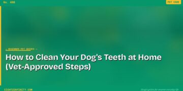 How to Clean Your Dog's Teeth at Home (Vet-Approved Steps)
