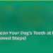 How to Clean Your Dog's Teeth at Home (Vet-Approved Steps) 8 How to Clean Your Dog's Teeth at Home (Vet-Approved Steps)
