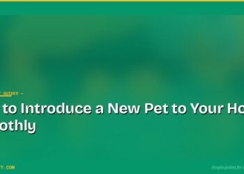 How to Introduce a New Pet to Your Home Smoothly