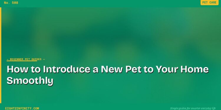 How to Introduce a New Pet to Your Home Smoothly