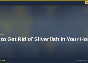 How to Get Rid of Silverfish in Your Home Fast