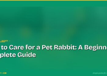 How to Care for a Pet Rabbit: A Beginner's Complete Guide