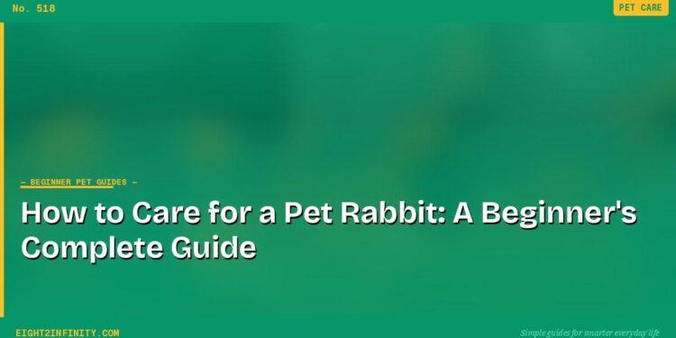 How to Care for a Pet Rabbit: A Beginner's Complete Guide