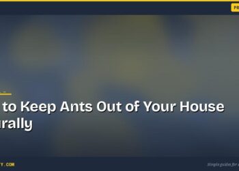 How to Keep Ants Out of Your House Naturally