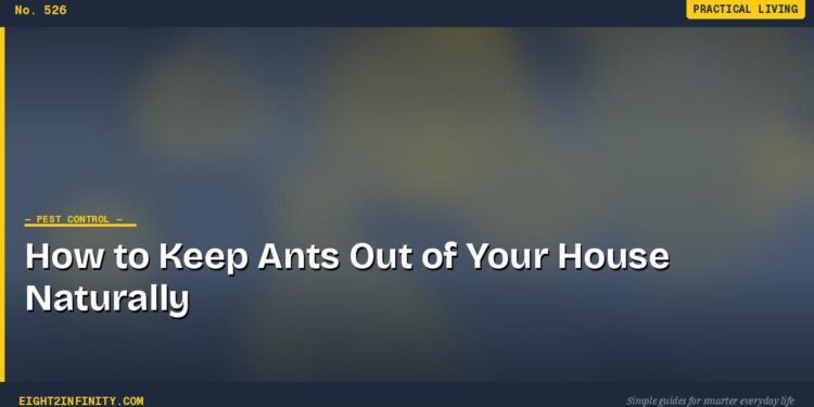 How to Keep Ants Out of Your House Naturally 1 How to Keep Ants Out of Your House Naturally