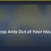How to Keep Ants Out of Your House Naturally