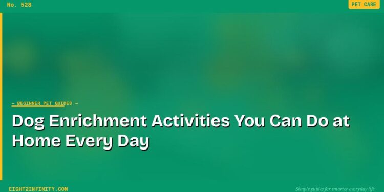Dog Enrichment Activities You Can Do at Home Every Day
