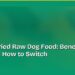 Freeze-Dried Raw Dog Food: Benefits, Risks and How to Switch